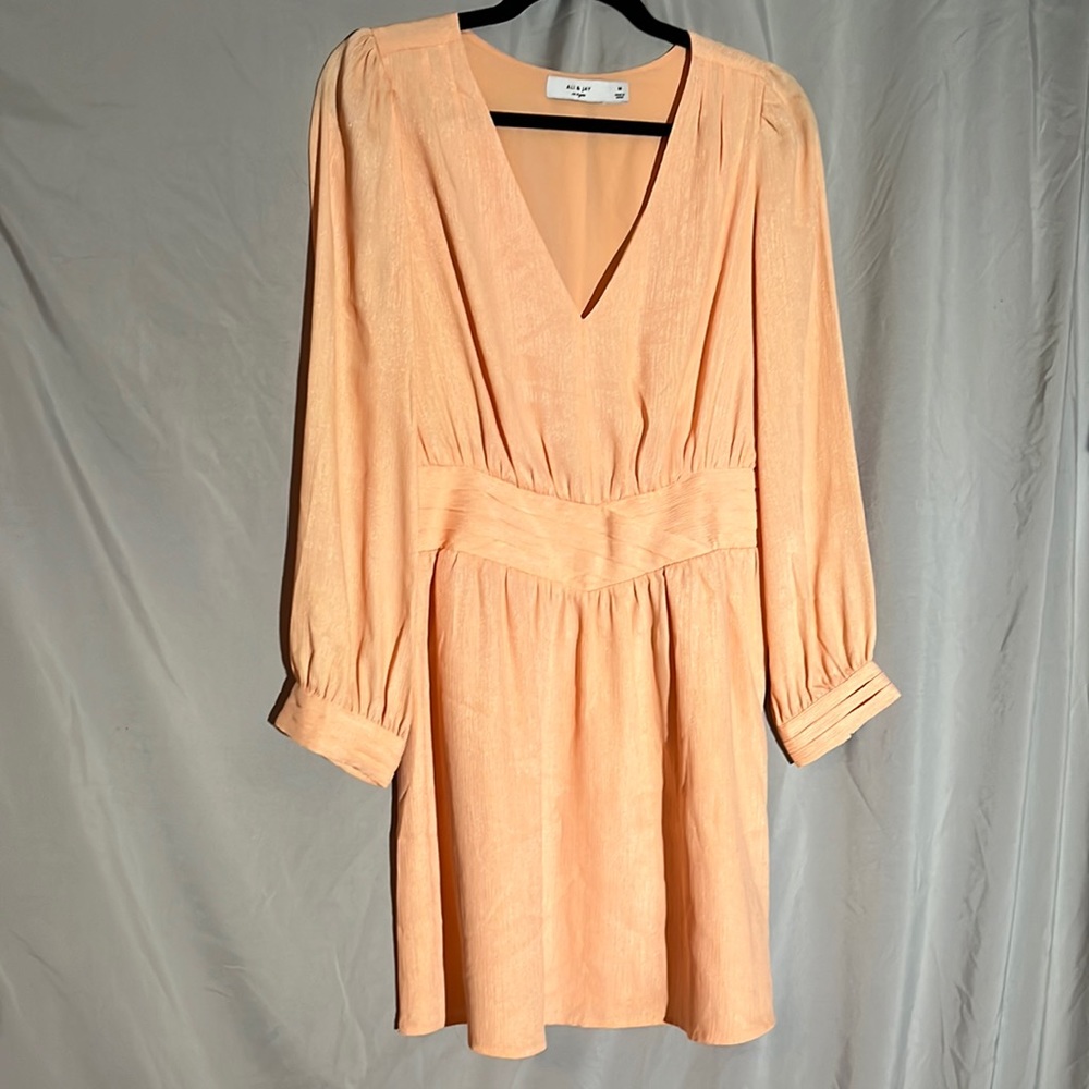Seashell collector peach pleated mini dress